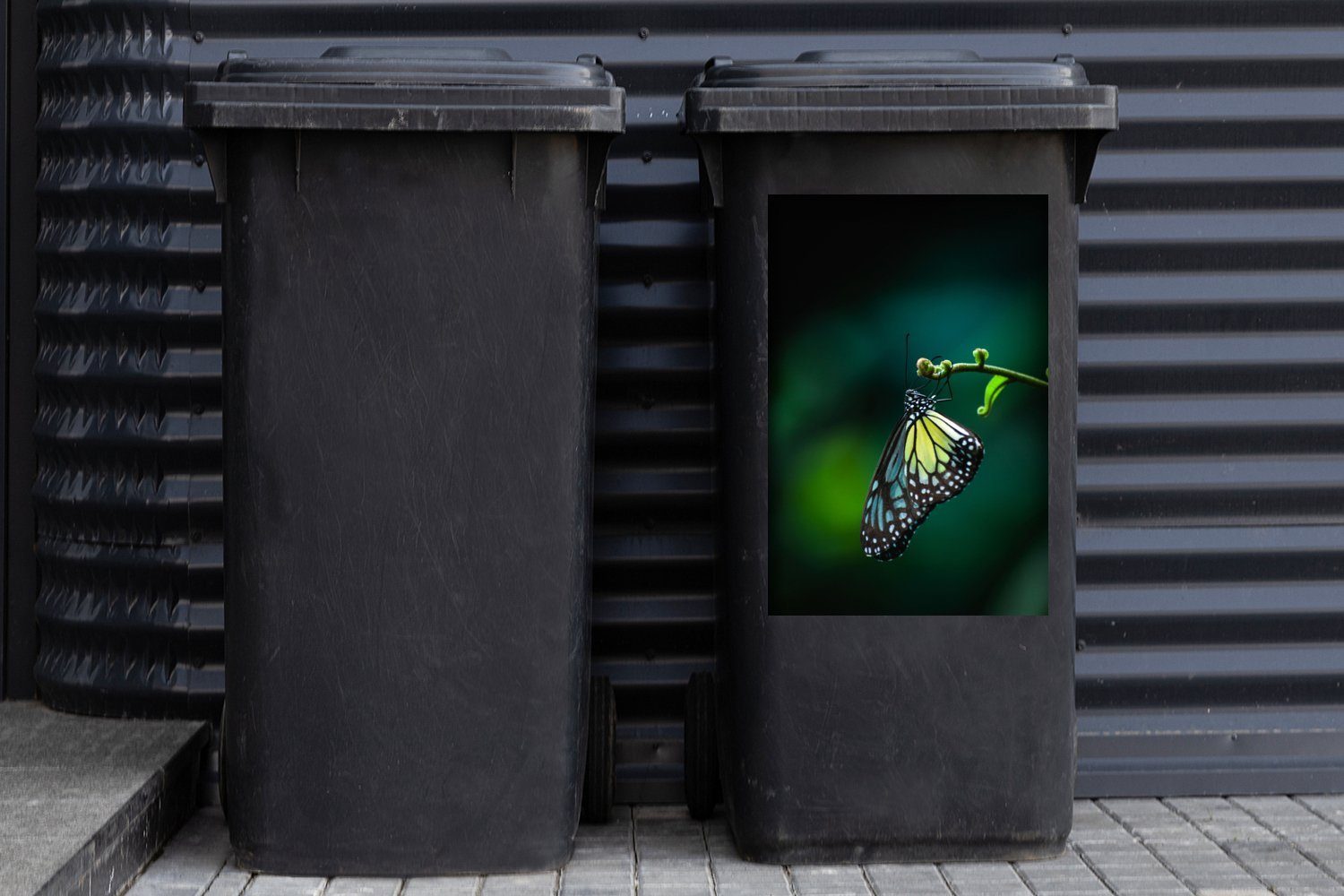 MuchoWow Wandsticker Nahaufnahme Mülleimer-aufkleber, St), Abfalbehälter Schmetterling Mülltonne, Sticker, auf Zweig (1 Container, einem