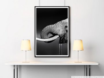 Sinus Art Poster Tierfotografie  Trinkender Elefant schwarz weiß 60x90cm Poster