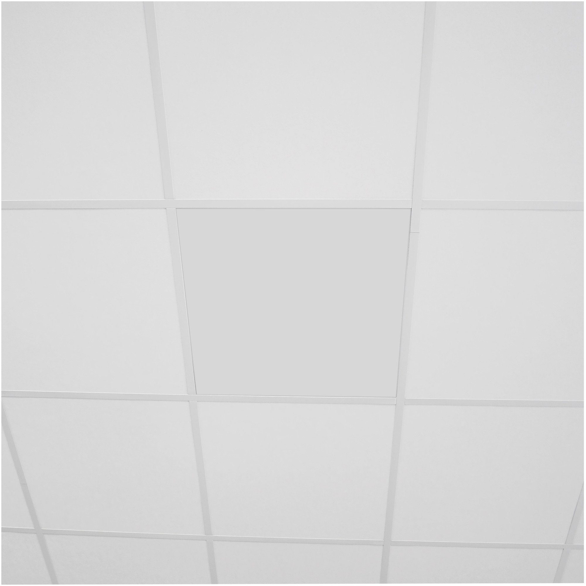 Vasner Infrarotheizung InfraRaster 62E, Stahl, 350 W, 62,5x62,5 cm