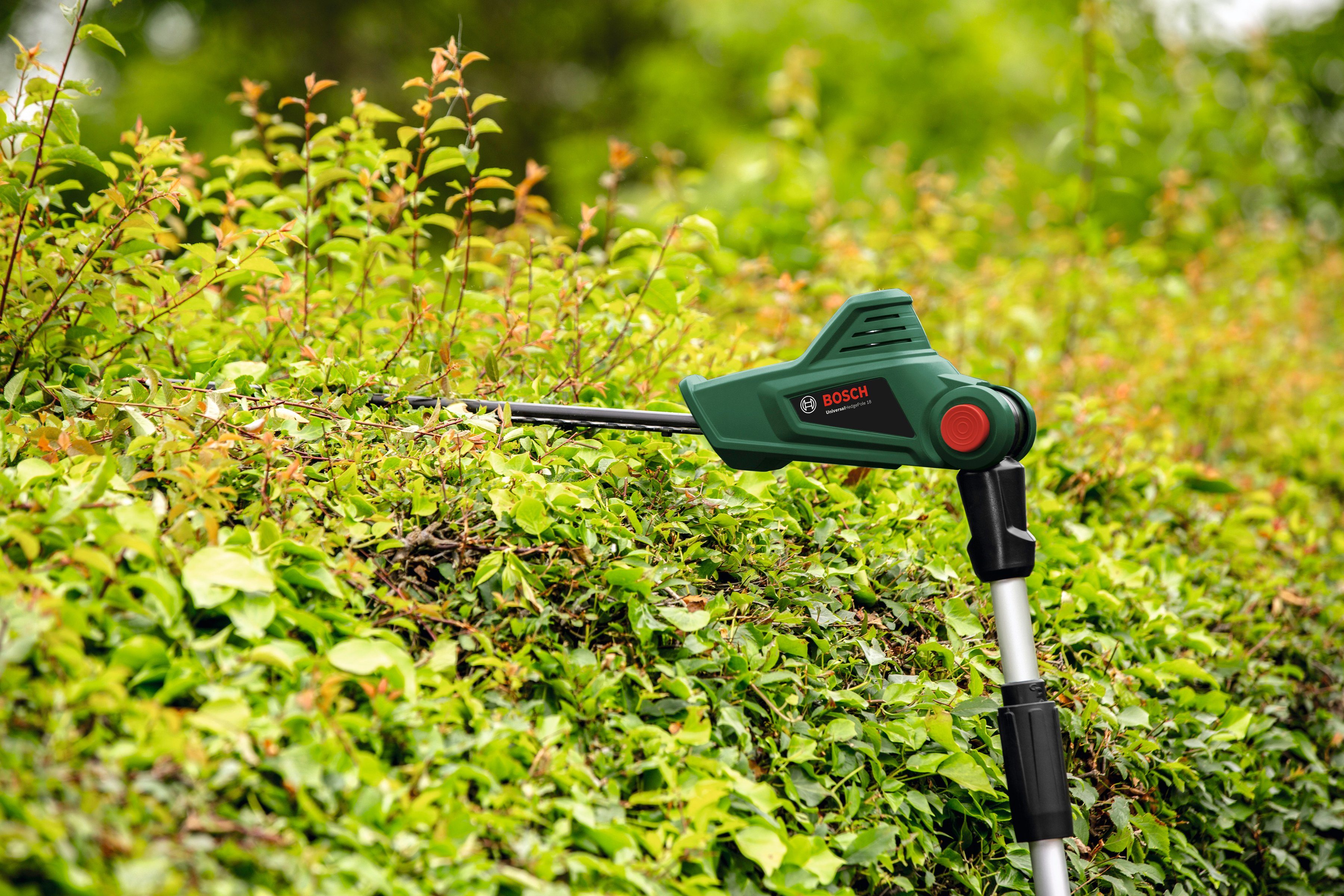 Bosch Home & Garden Akku-Heckenschere UniversalHedgePole 18, 43 cm Schnittlänge, ohne Akku und Ladegerät – Bild 5 von 5
