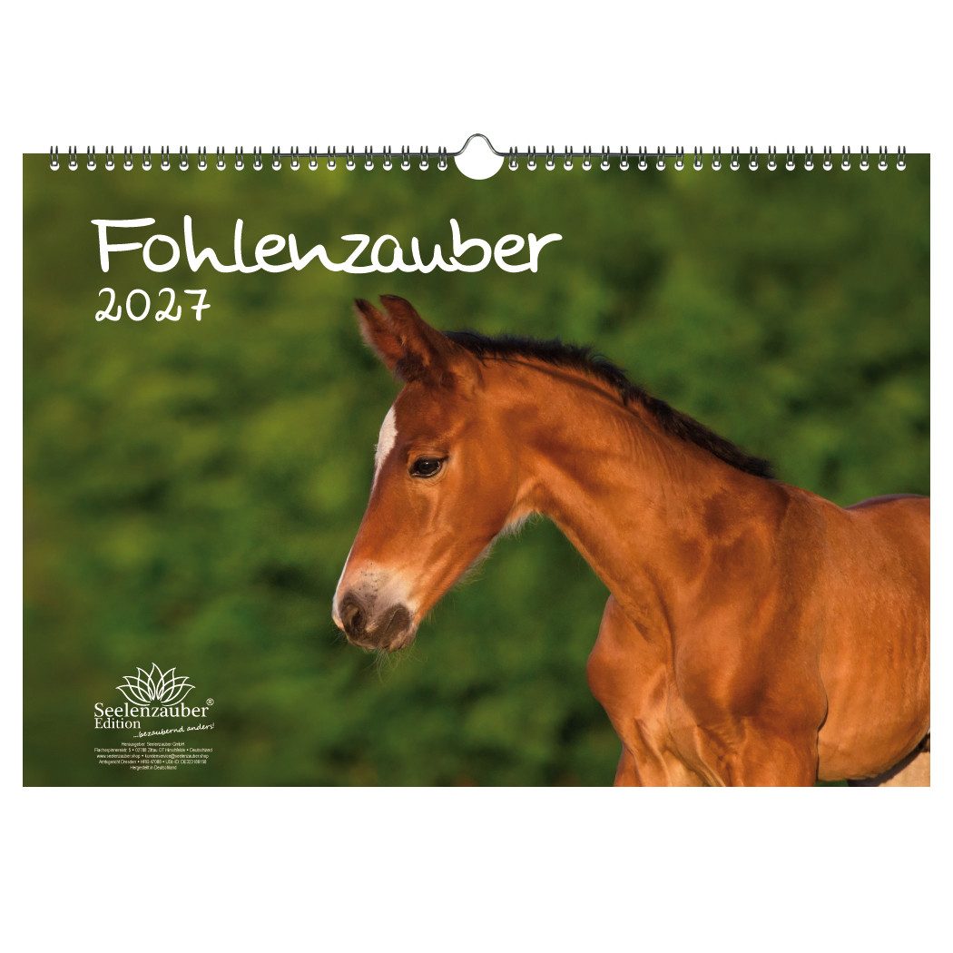 Seelenzauber Fohlenzauber DIN A3 Kalender für 2027 Pferde und Fohlen - Seelenzauber