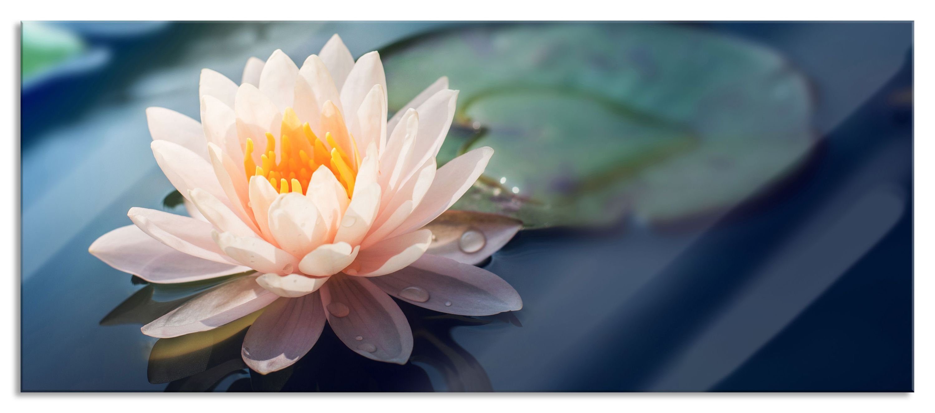 Teich in Lotusblume Lotusblume und Glasbild aus (1 Echtglas, Aufhängungen Pixxprint Glasbild Eine Teich, inkl. Abstandshalter Eine rosa rosa St), in