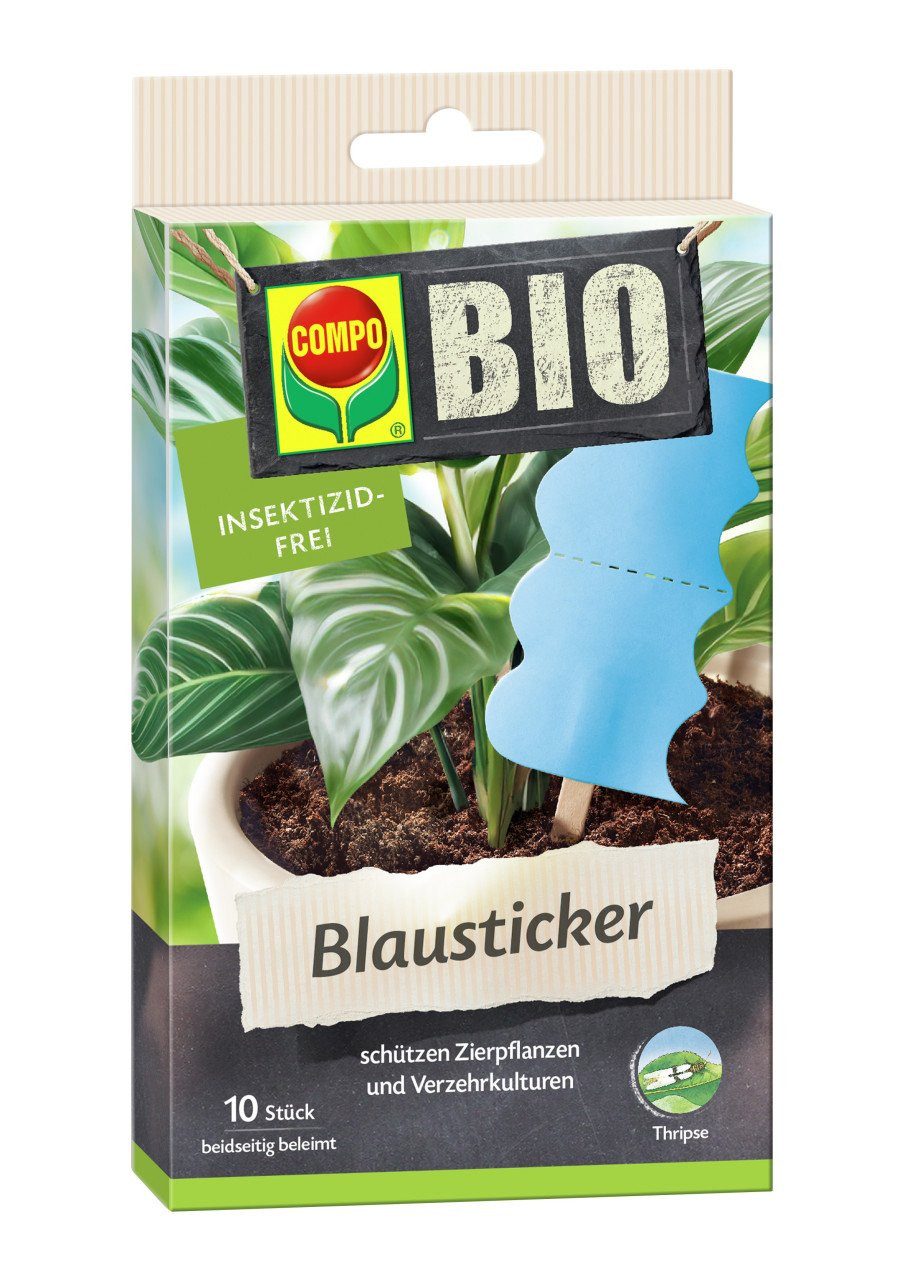 Compo Insektenvernichter Compo Bio Blausticker gegen Thripse 10 Stück – Bild 2 von 4