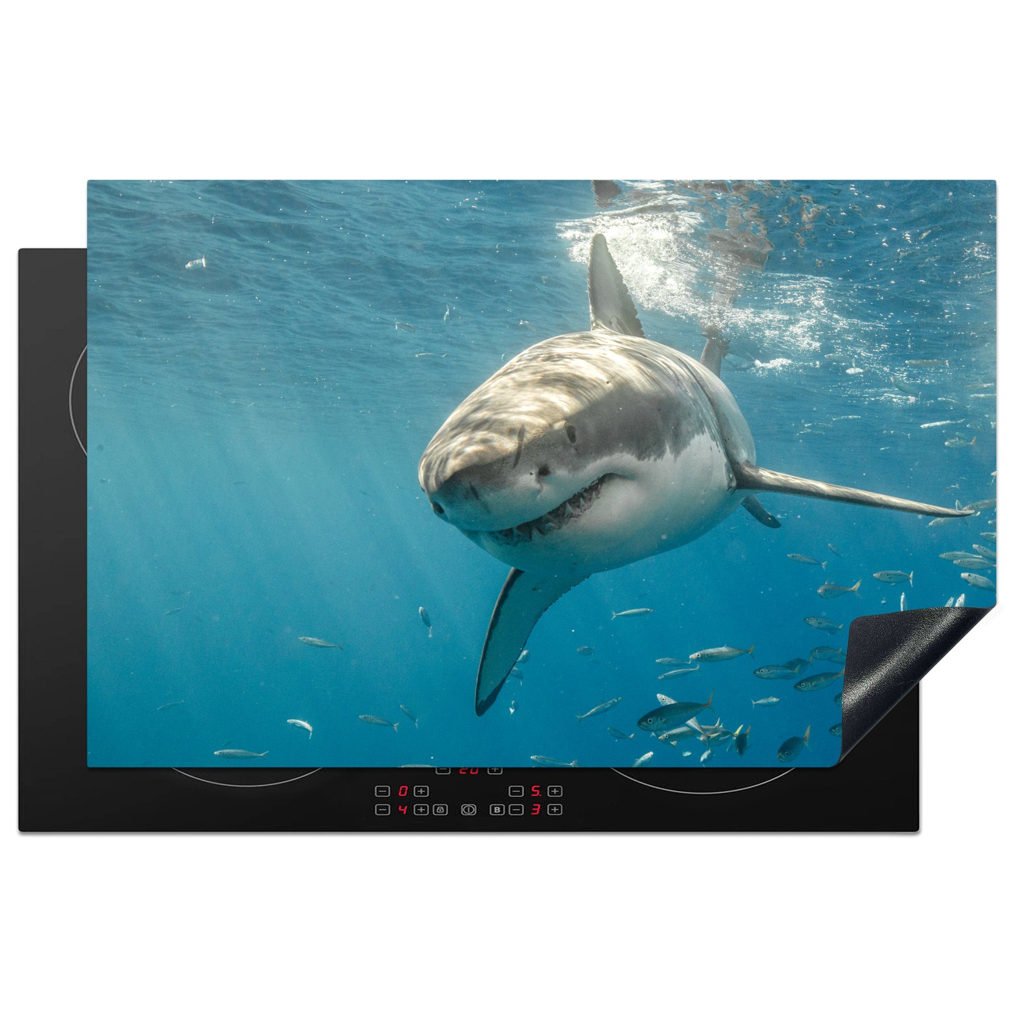 MuchoWow Herdblende-/Abdeckplatte Ein großer weißer Hai im Wasser mit Sonnenstrahlen, Vinyl, (1 tlg), 81x52 cm, Induktionskochfeld Schutz für die küche, Ceranfeldabdeckung