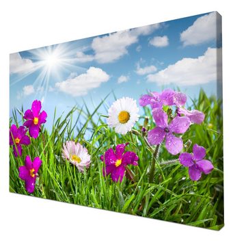 wandmotiv24 Leinwandbild Blühende Wiese unter blauem Himmel, Blumen und Pflanzen (1 St), Wandbild, Wanddeko, Leinwandbilder in versch. Größen