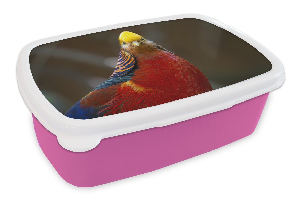 MuchoWow Lunchbox Fasan - Gold - Tiere, Kunststoff, (2-tlg), Brotbox für Erwachsene, Brotdose Kinder, Snackbox, Mädchen, Kunststoff rosa