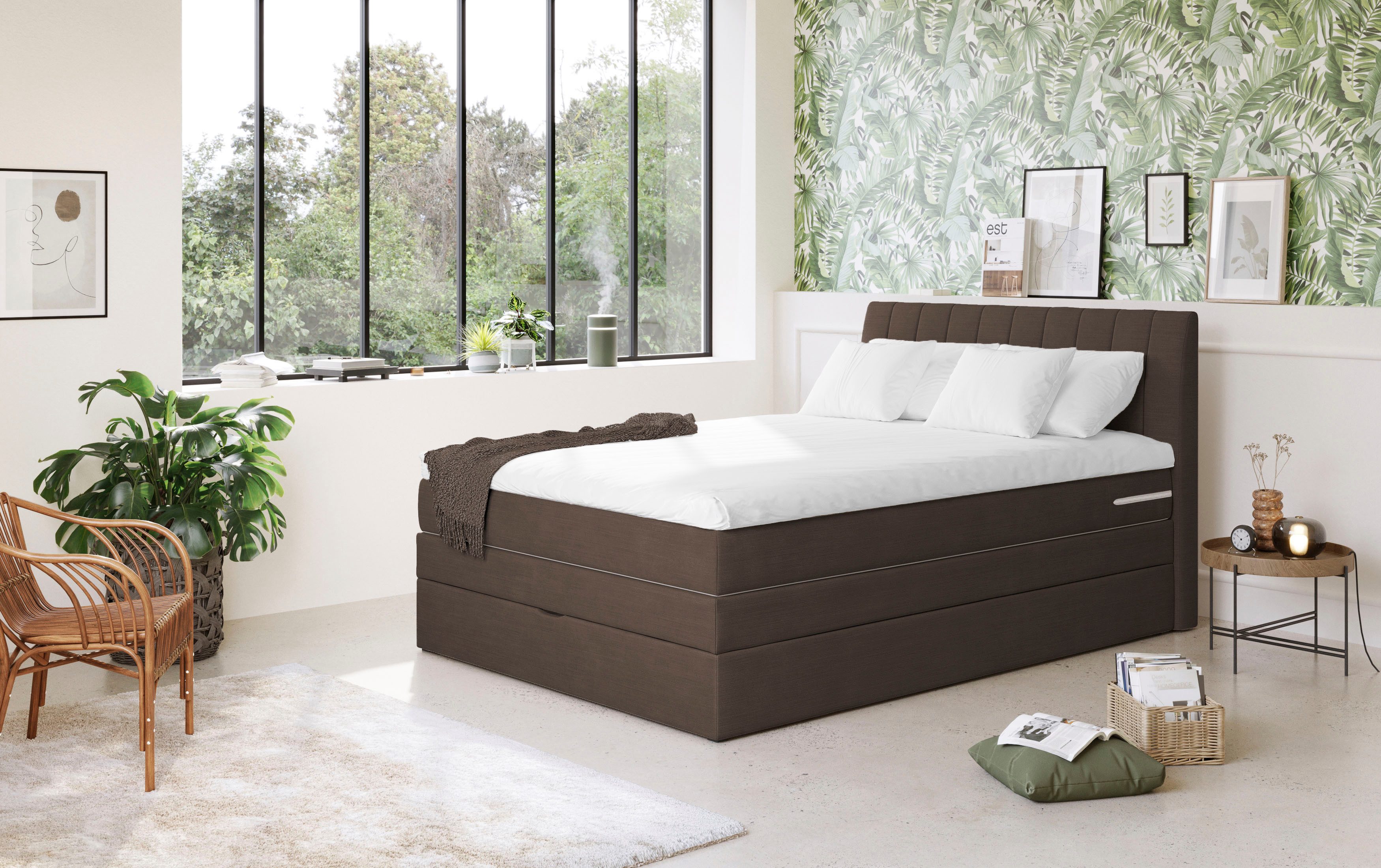 COTTA Boxspringbett Shark inkl. Bettkasten und Topper, erhältlich in den Breiten 140x200cm, 160x200cm und 180x200cm