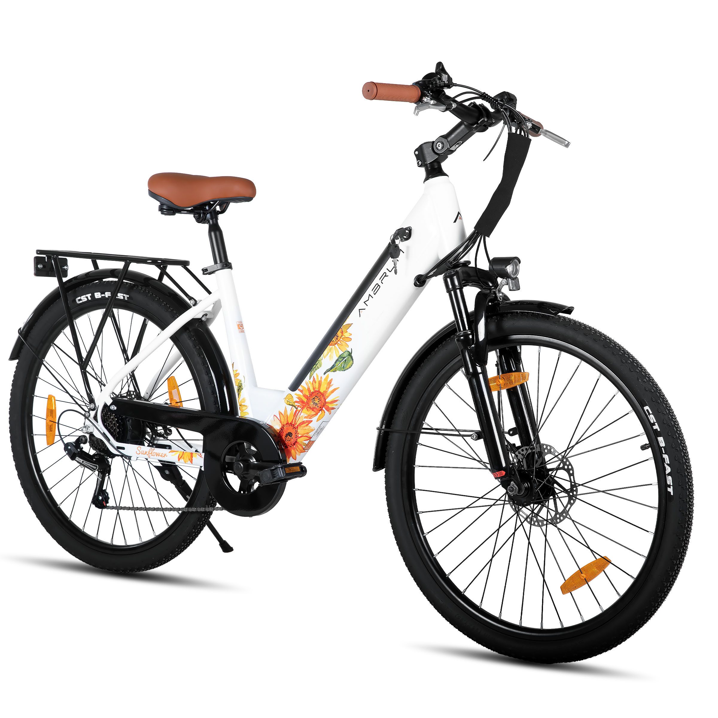 HILAND E-Bike 26" E-Mountainbike mit Shimano-Schaltung, Gepäckträger & Nabenmotor, Heckmotor, 280,8 Wh