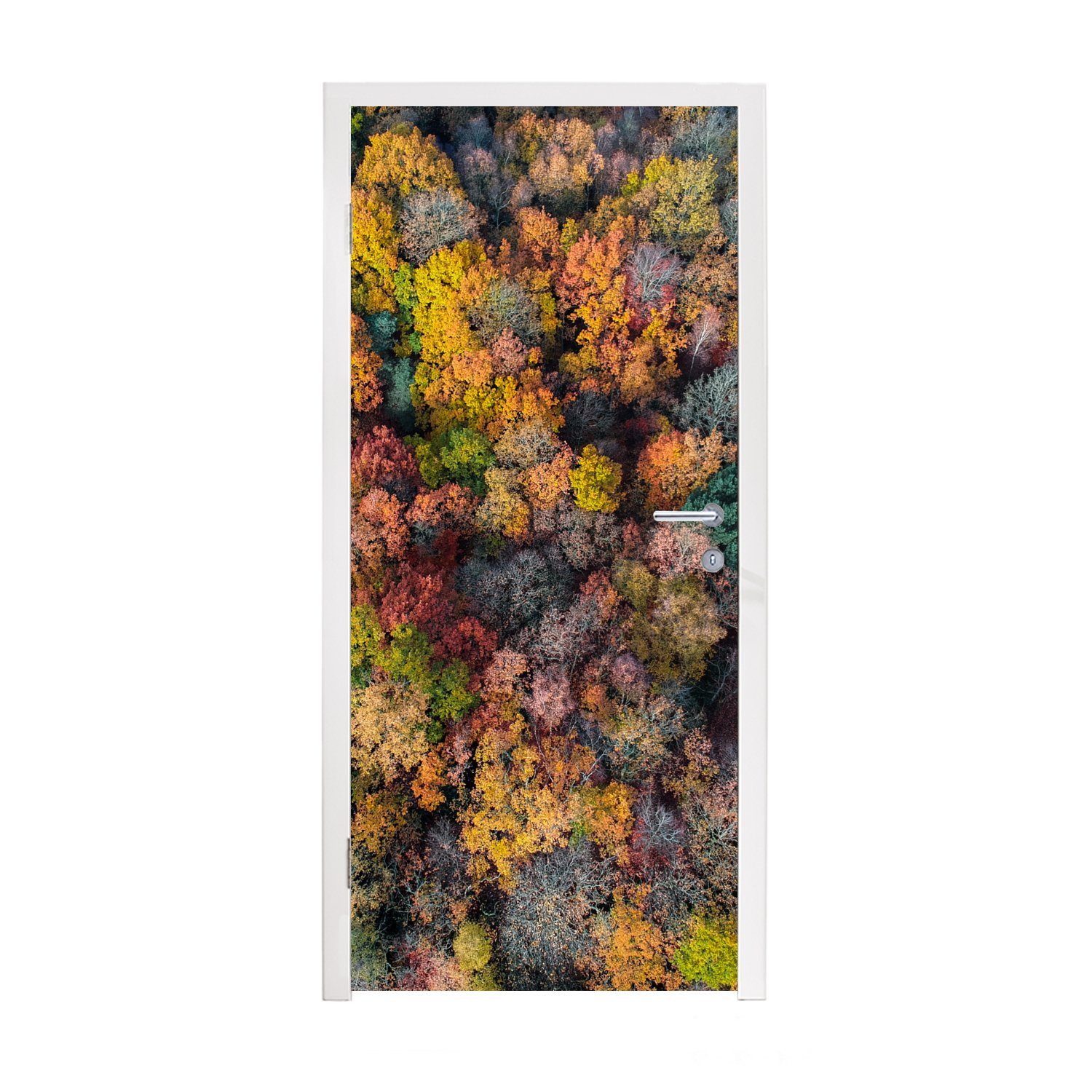 MuchoWow Türtapete Eine Auswahl an bunten Blättern im Baum, Matt, bedruckt, (1 St), Fototapete für Tür, Türaufkleber, 75x205 cm