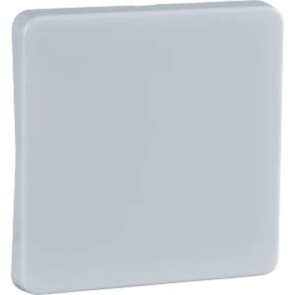 Schneider Electric Schalter Elso 213604 Wippe Uni,-Kreuzschalter /Taster FASHION/RIVA/SCALA r