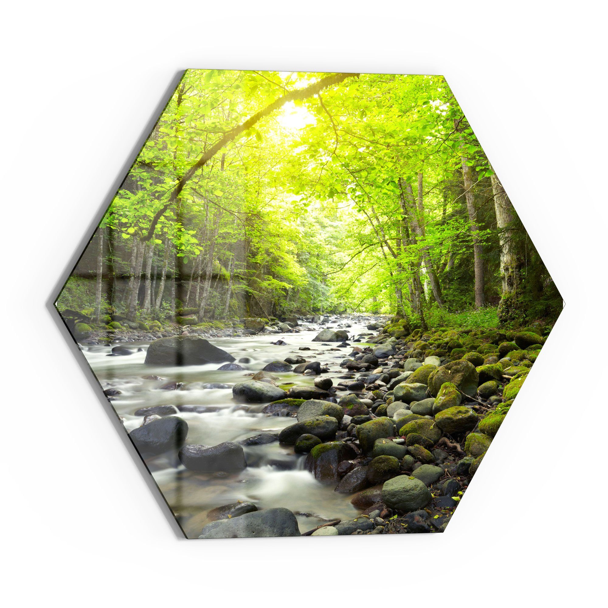 DEQORI Glasbild 'Steiniges Flussbett', 'Steiniges Flussbett', günstig online kaufen