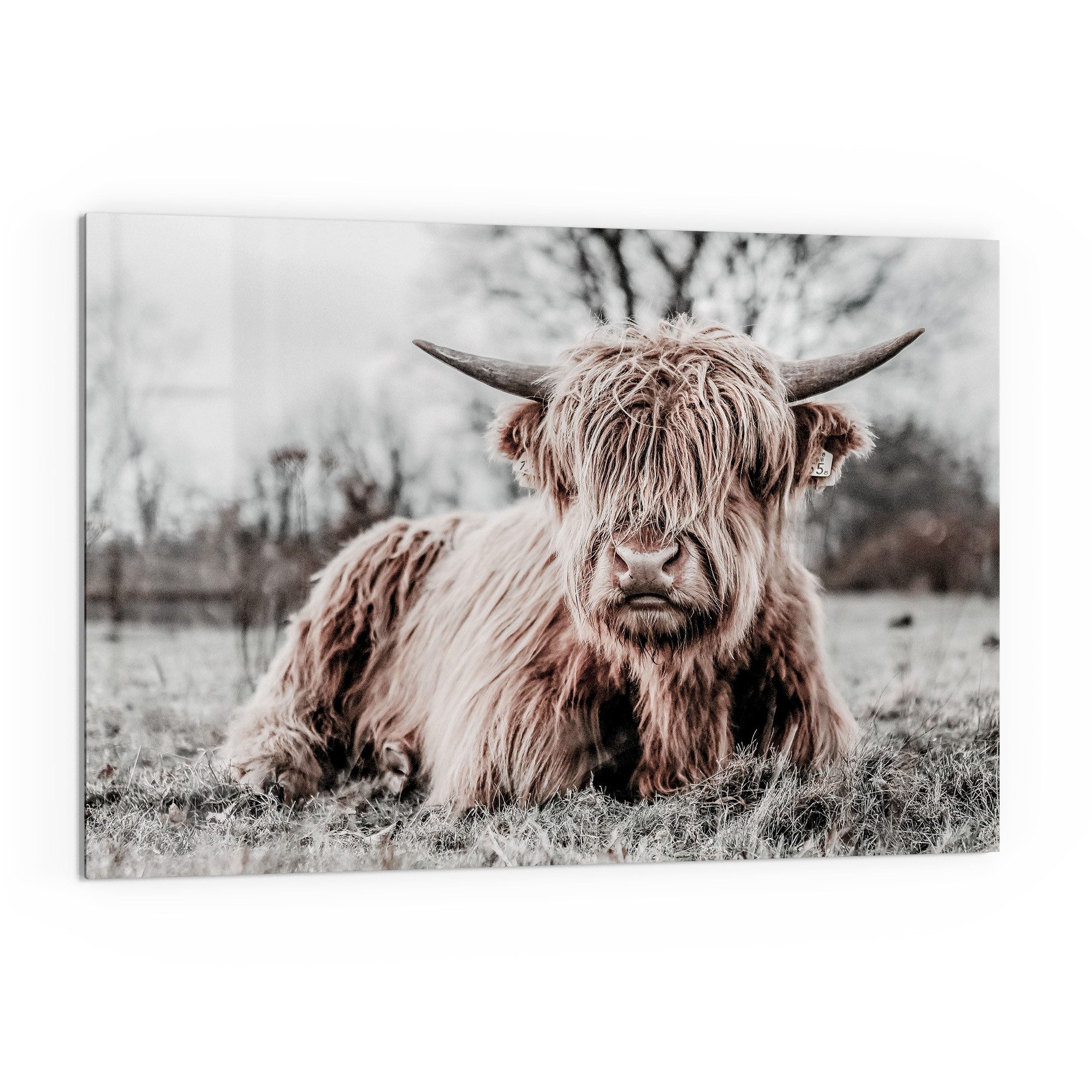 DEQORI Küchenrückwand 'Ruhendes Hochland', Glas Spritzschutz Badrückwand He günstig online kaufen