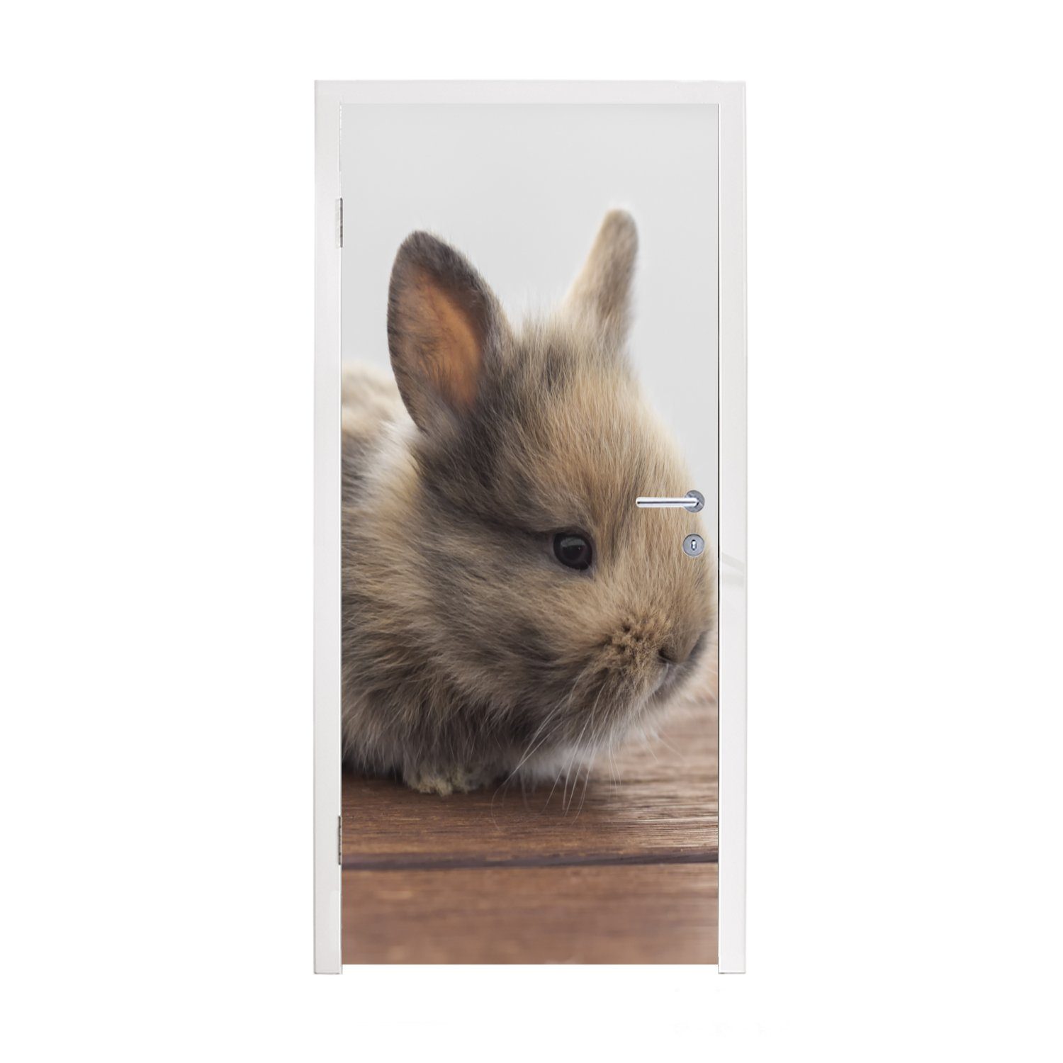 - für Kaninchen Holz, - Fototapete 75x205 Türaufkleber, cm St), Tür, Türtapete bedruckt, Matt, Baby MuchoWow (1