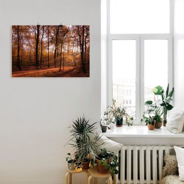 Artland Wandbild Sonnenaufgang im Herbst II, Wald (1 St), als Alubild, Outdoorbild, Leinwandbild, Poster, Wandaufkleber