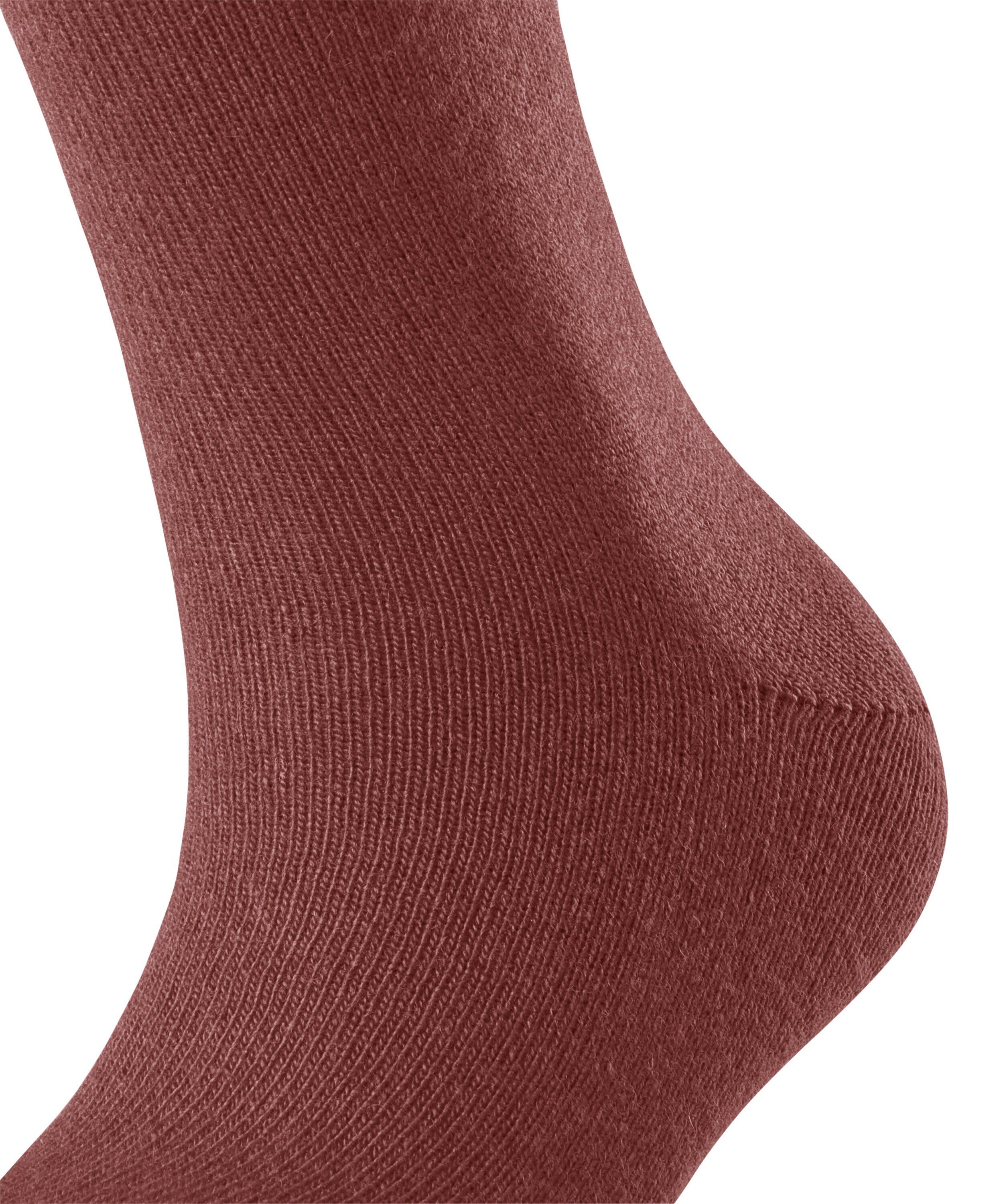 FALKE Socken Cosy Wool (1-Paar) mit Schurwolle und Kaschmir