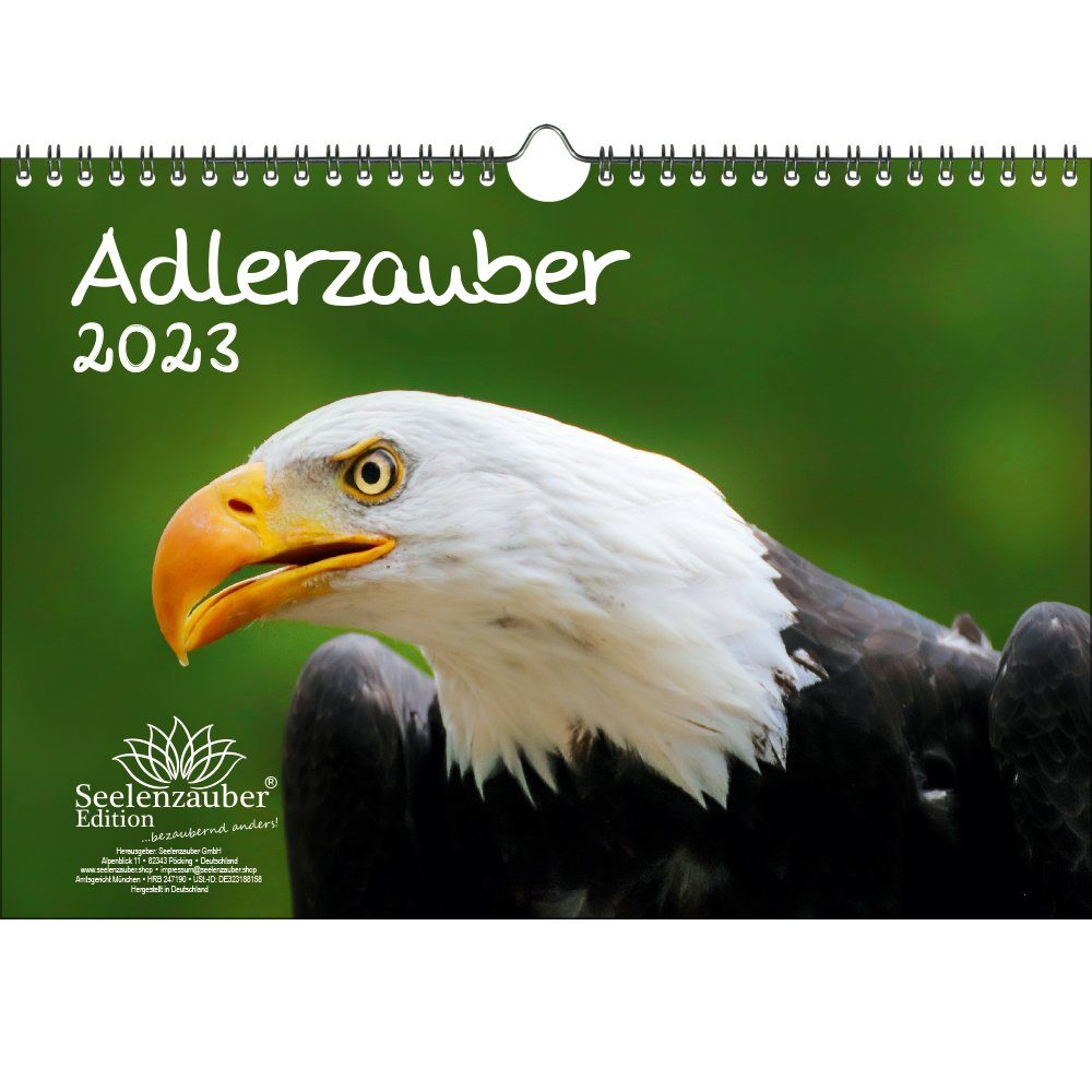 Seelenzauber Wandkalender »Adlerzauber Adler & Greifvögel DIN A4