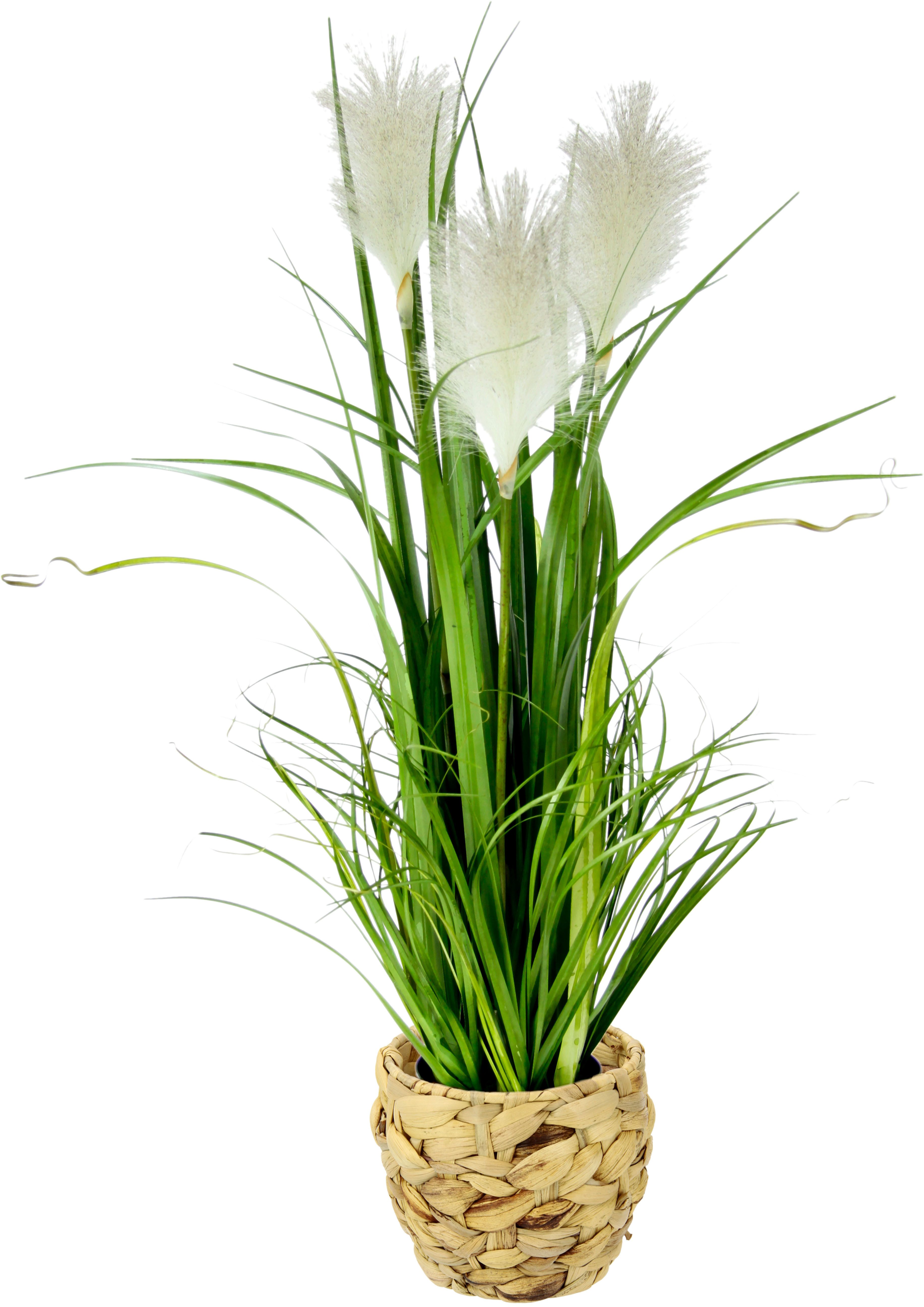 Kunstpflanze Pampasgras, I.GE.A., Höhe 80 cm, Mit Übertopf, künstliches Pampas Gras