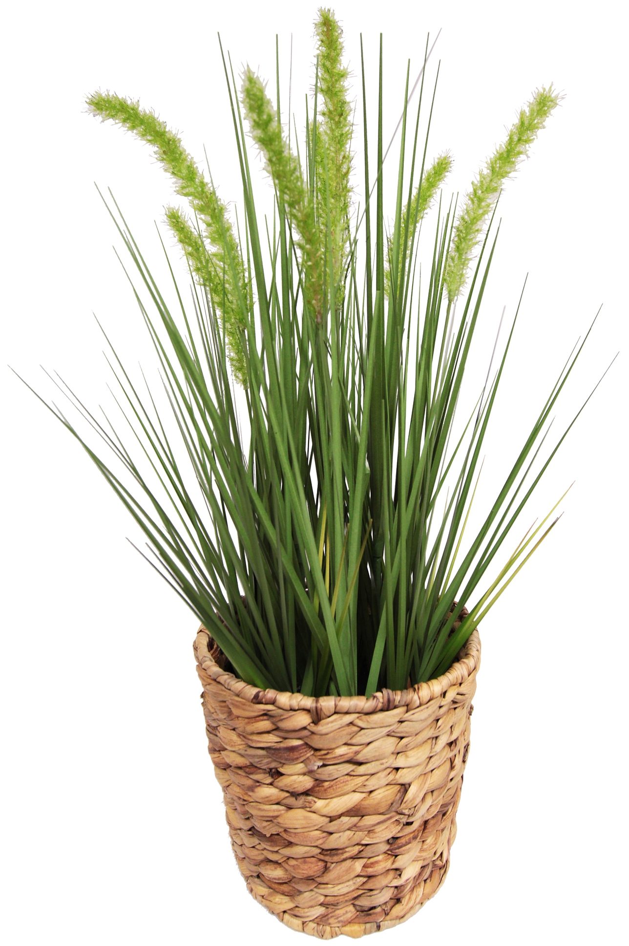 Home affaire Kunstpflanze »Gras« online kaufen OTTO