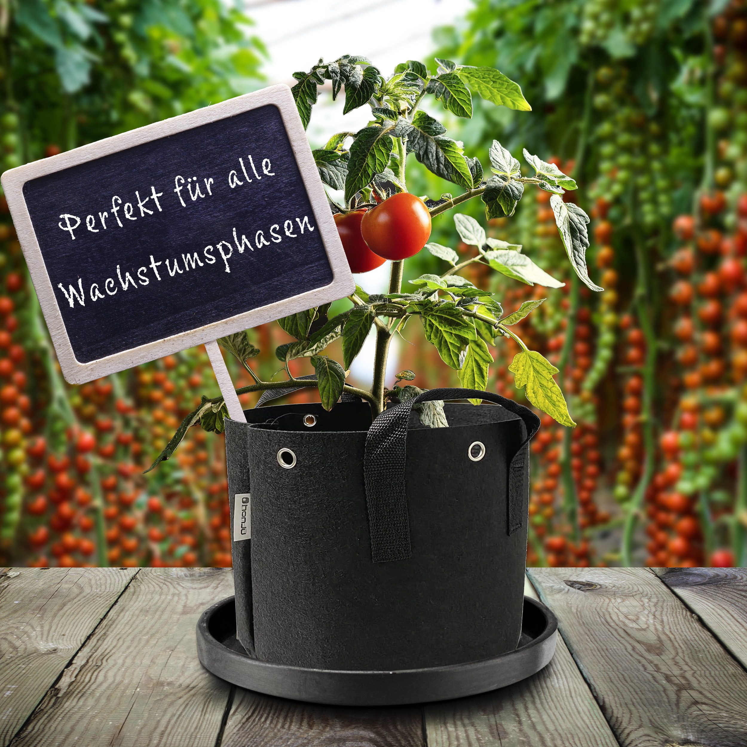 honju Pflanzkübel Stofftopf (8 Liter, 3er Set), [Atmungsaktive Stofftöpfe, Outdoor / Growbox geeignet, Faltbar] – Bild 5 von 5