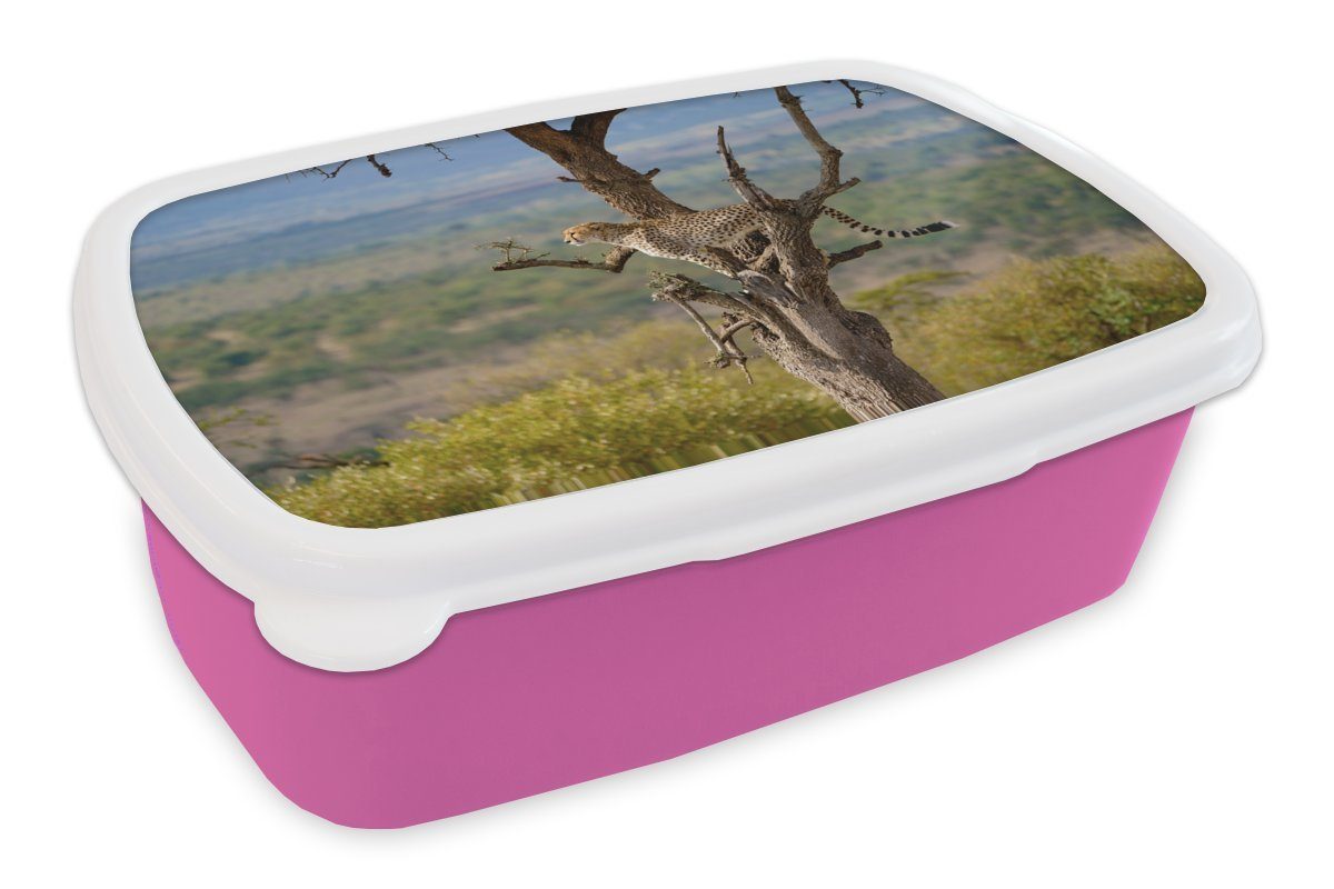 - Lunchbox Tier, - MuchoWow für Mädchen, Snackbox, Kinder, Brotdose Brotbox Leopard Kunststoff, Erwachsene, rosa Kunststoff Baum (2-tlg),