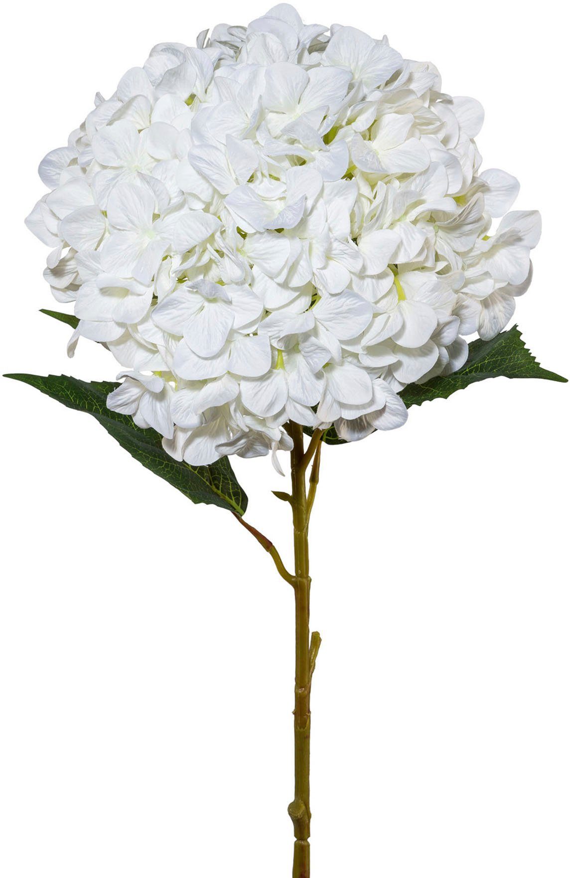 Hortensien 2er Bund weiss creme 29 cm Kunstblumen Seidenblumen weiß Hydrangea 