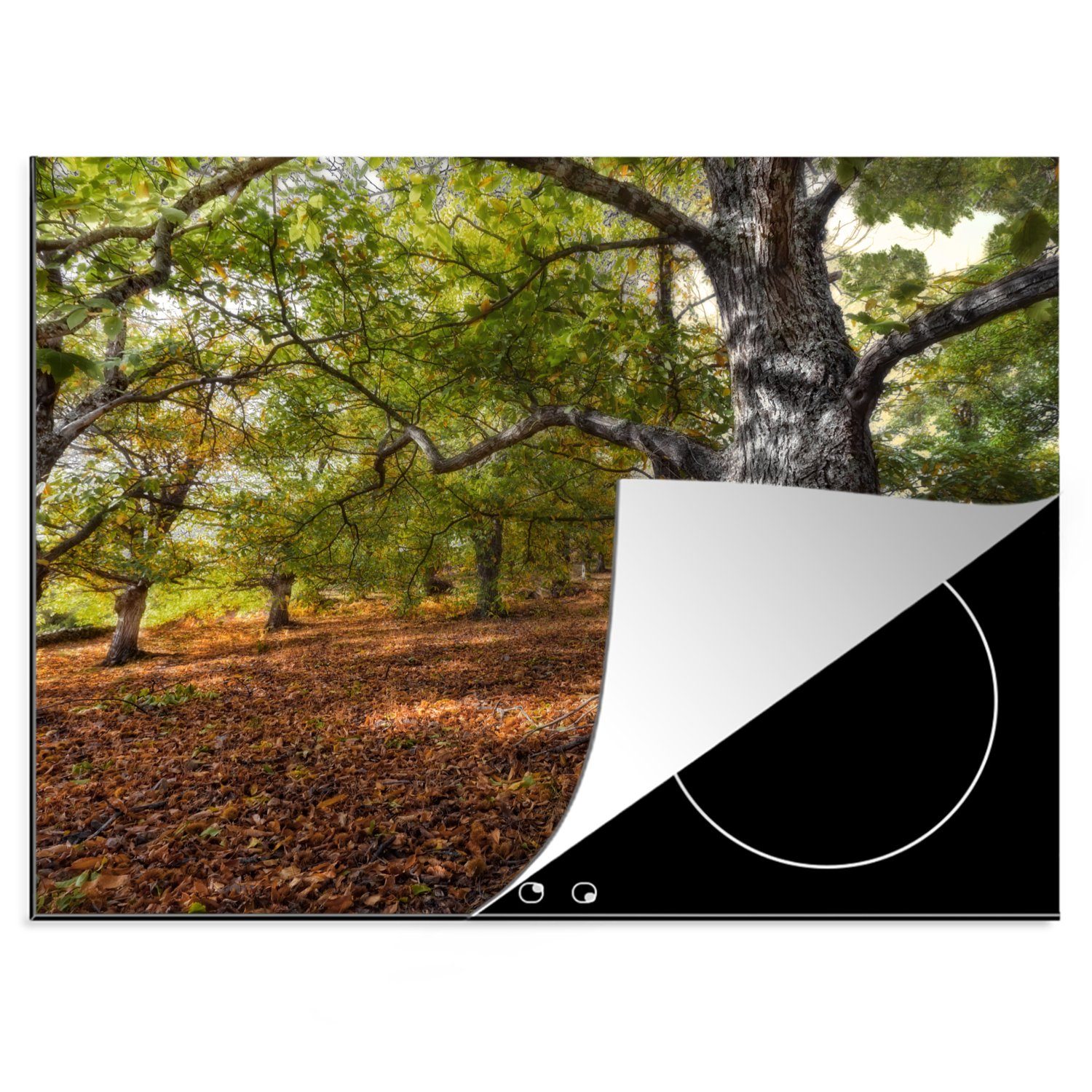MuchoWow Herdblende-/Abdeckplatte Mehrere Kastanienbäume, Vinyl, (1 tlg), 70x52 cm, Mobile Arbeitsfläche nutzbar, Ceranfeldabdeckung