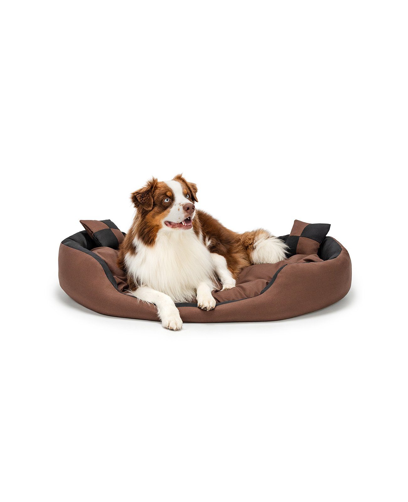 lionto Tierkissen 4-in-1 Hundebett, Hundekissen, Hundekörbchen mit Wendekissen, Größe, mit Wendekissen, schwarz/braun, 110 cm x 80 cm