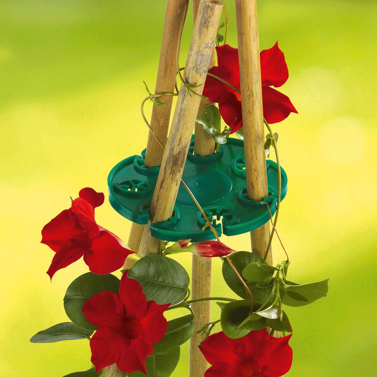 WENKO Rankhilfe WENKO Rank-FIX 2er-Set,1 Set