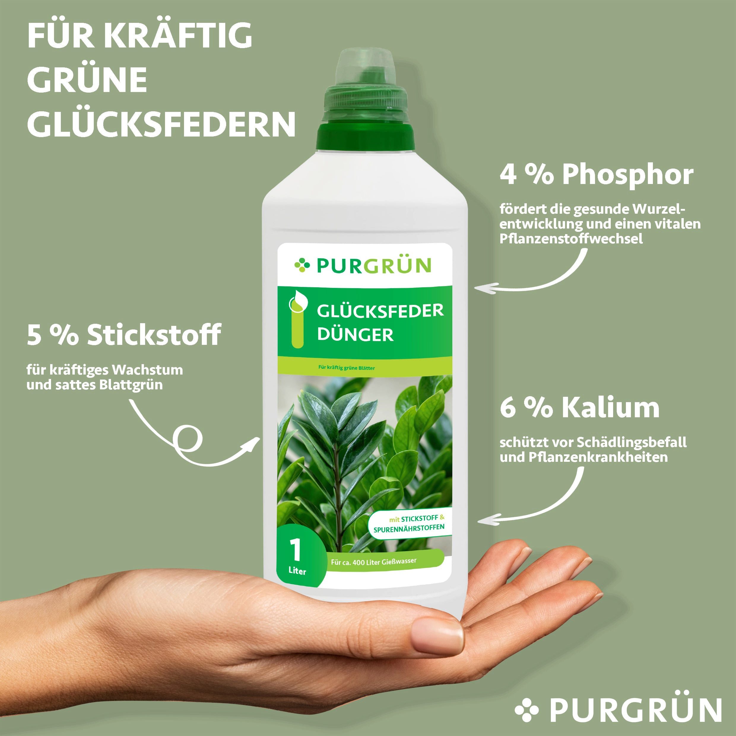 Purgrün Universaldünger Purgrün Glücksfeder Dünger, NPK günstig online kaufen