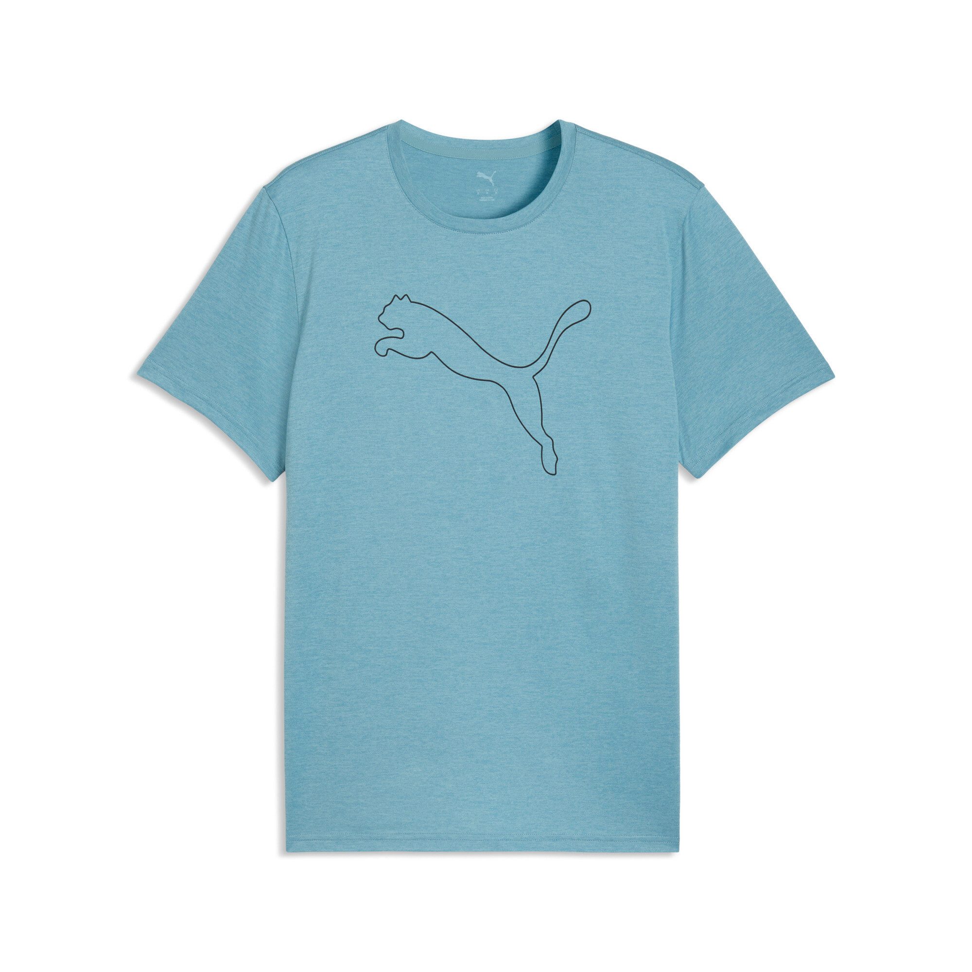 Baltic Sea Blue Heather