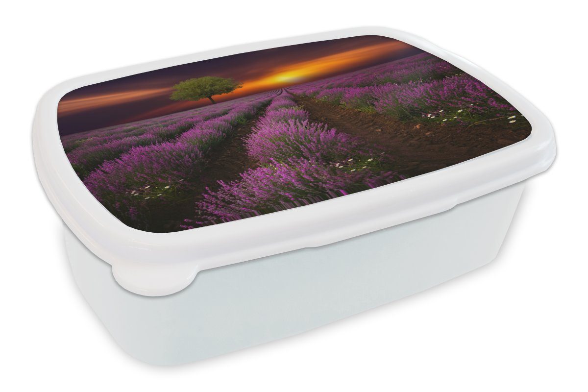 MuchoWow Lunchbox Schönes Lavendelfeld und (2-tlg), weiß Erwachsene, in für Kinder Mädchen Sonnenuntergang, Jungs einer Brotdose, Kunststoff, für und Brotbox dunklen Nacht mit