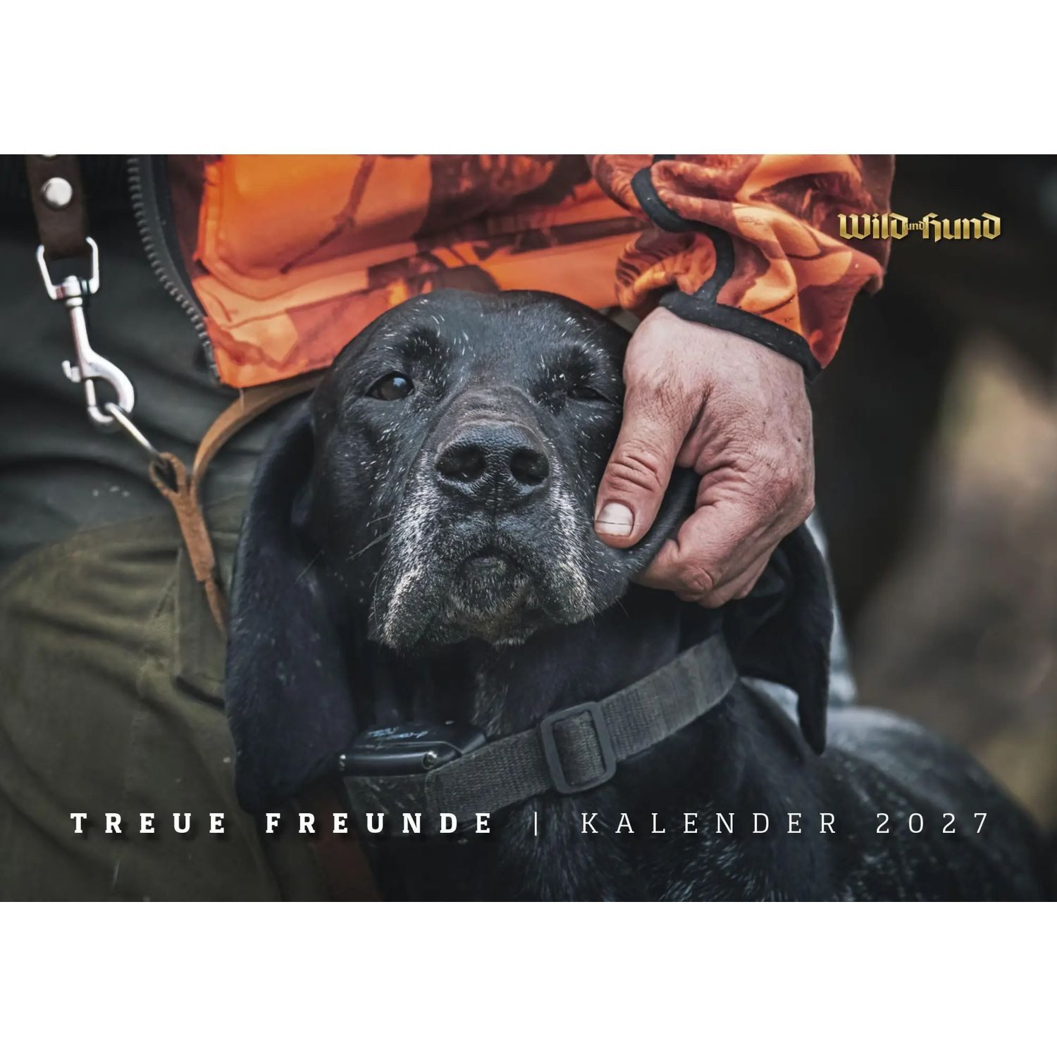 Wandkalender WILD UND HUND Edition: Treue Freunde Kalender 2027