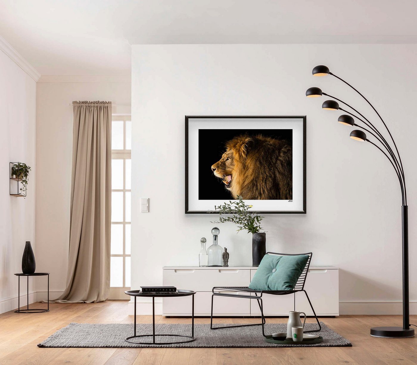 Komar Poster »Barbary Lion«, Tiere, Höhe: 30cm-HomeTrends