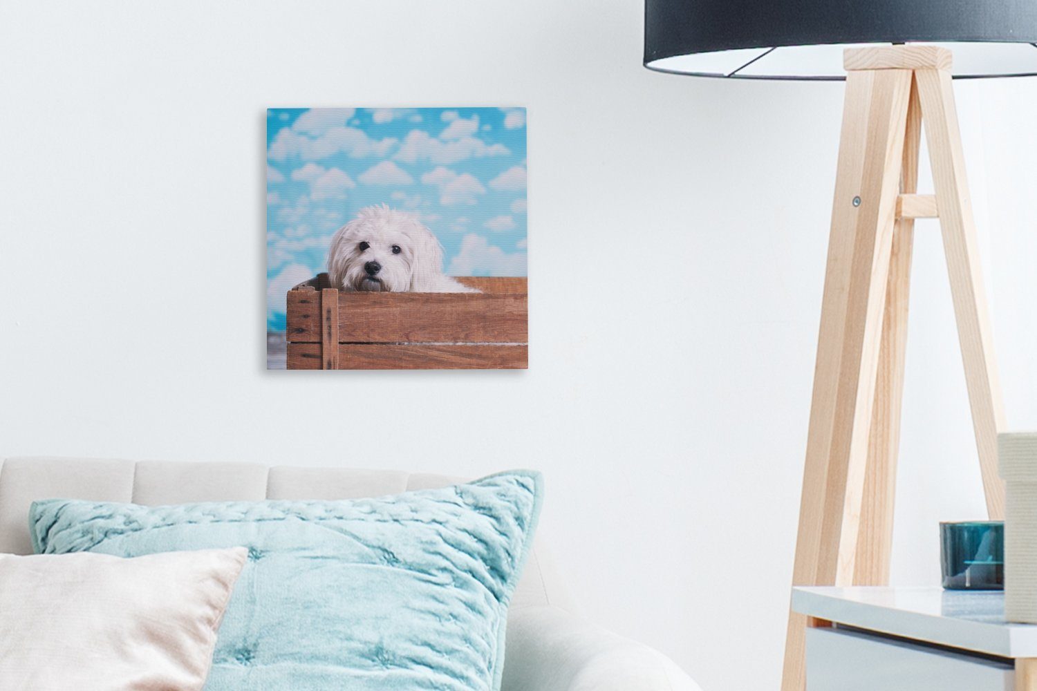 OneMillionCanvasses® Leinwandbild Malteser Hund für einer Bilder Holzkiste, Leinwand (1 Schlafzimmer in Wohnzimmer St)