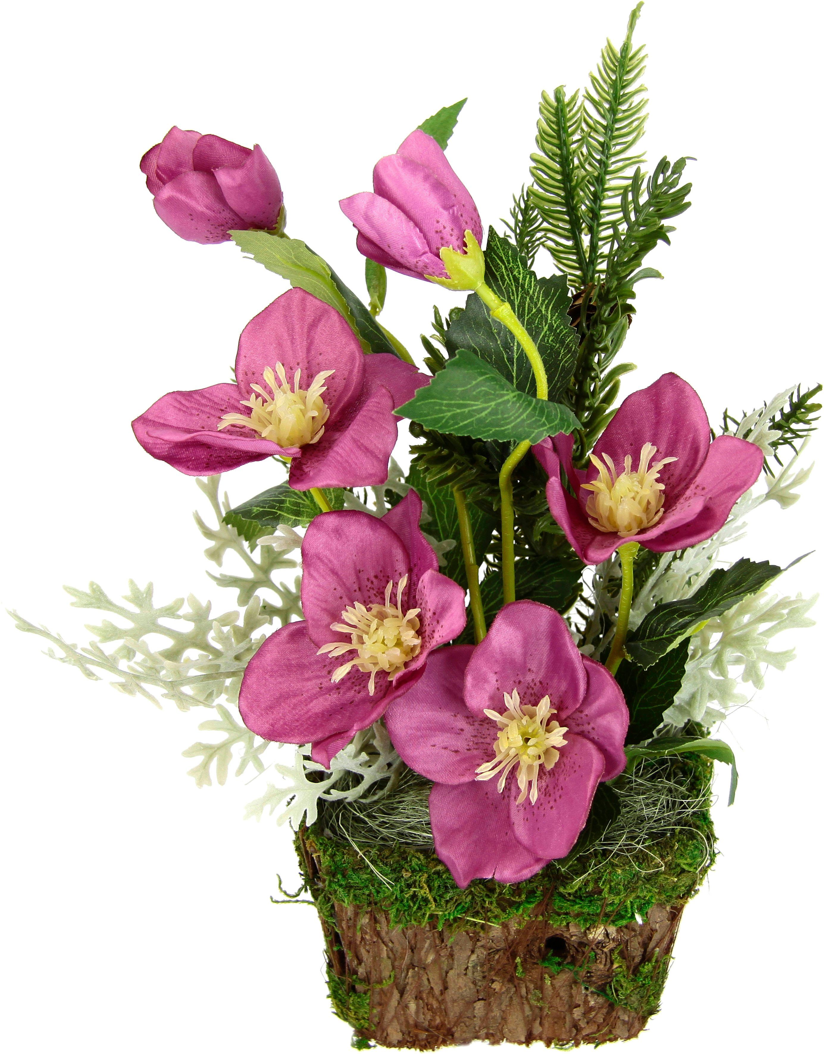 Winterliche Kunstpflanze Gesteck mit Christrosen im Pflanztopf, Weihnachtsd günstig online kaufen