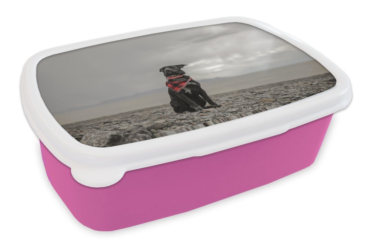 MuchoWow Lunchbox Hund - Strand - Wolke, Kunststoff, (2-tlg), Brotbox für Erwachsene, Brotdose Kinder, Snackbox, Mädchen, Kunststoff rosa