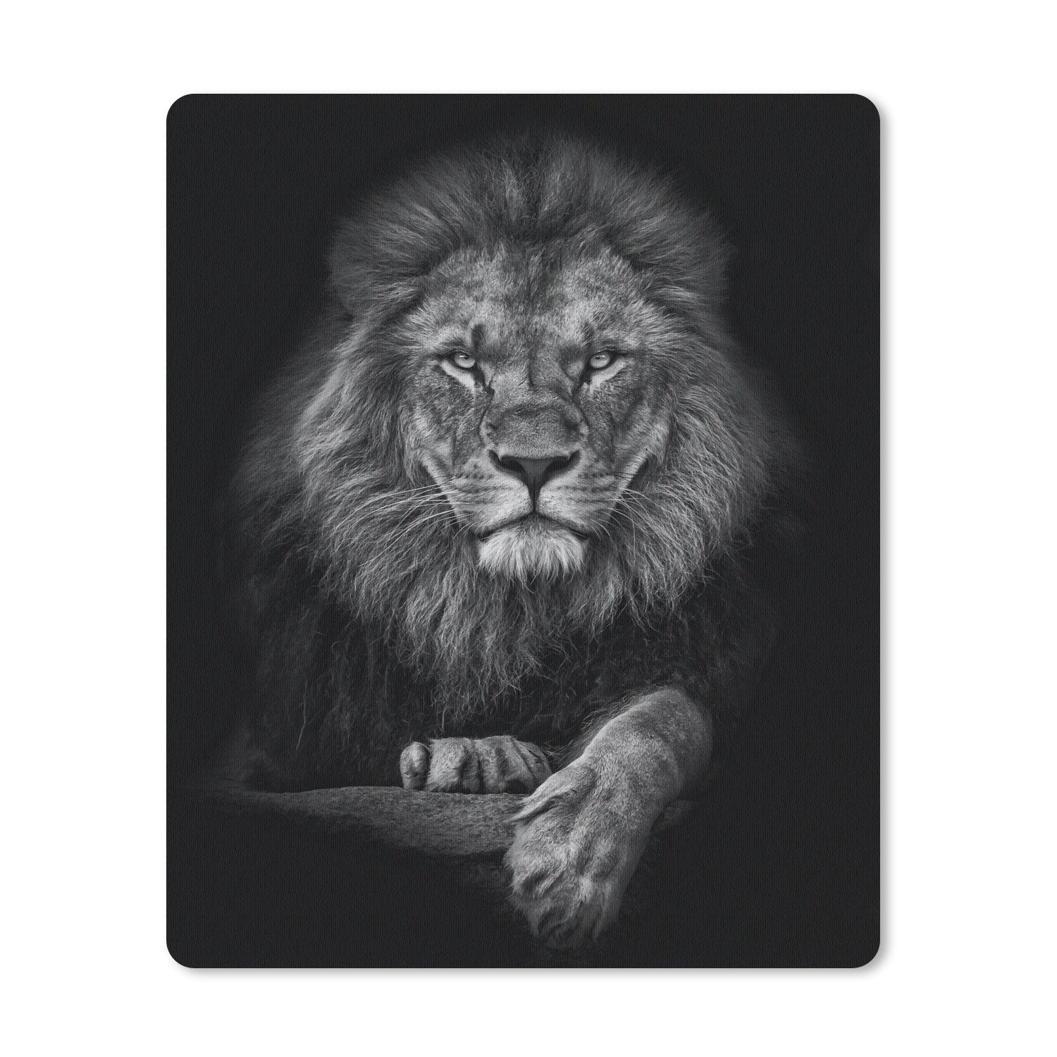 MuchoWow Mauspad Löwe - Tiere - Schwarz - Weiß (1-St), Gaming, Mousepad Klein, Büro Zubehör, Mausunterlage, 19x23 cm