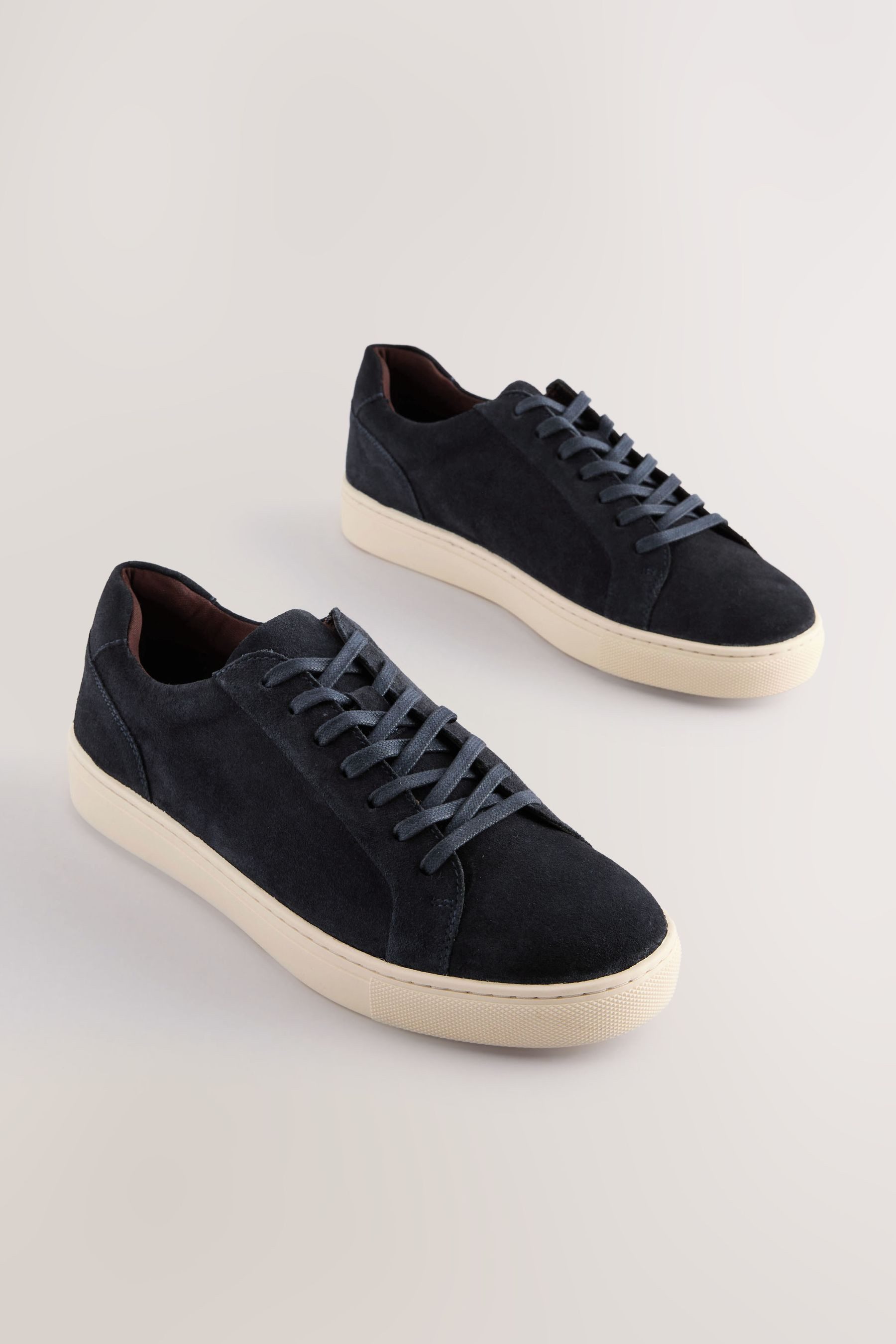 Next Lederturnschuhe Sneaker (1-tlg)