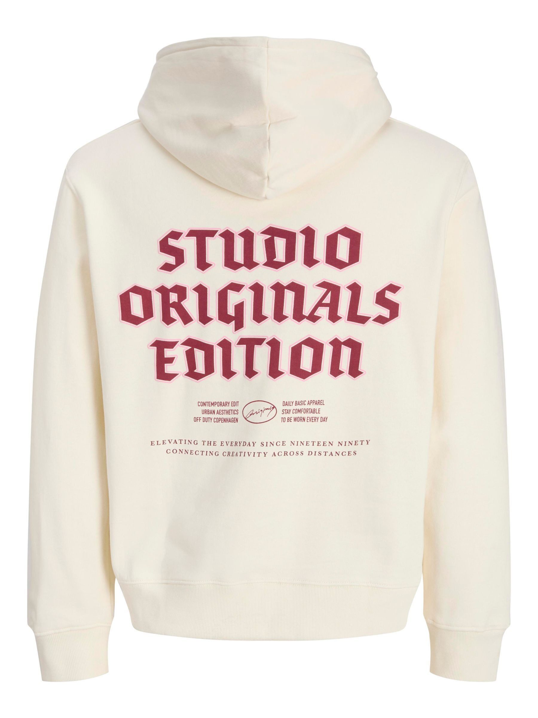 Jack & Jones PlusSize Kapuzensweatshirt JORMEADOWS SWEAT HOOD PLS