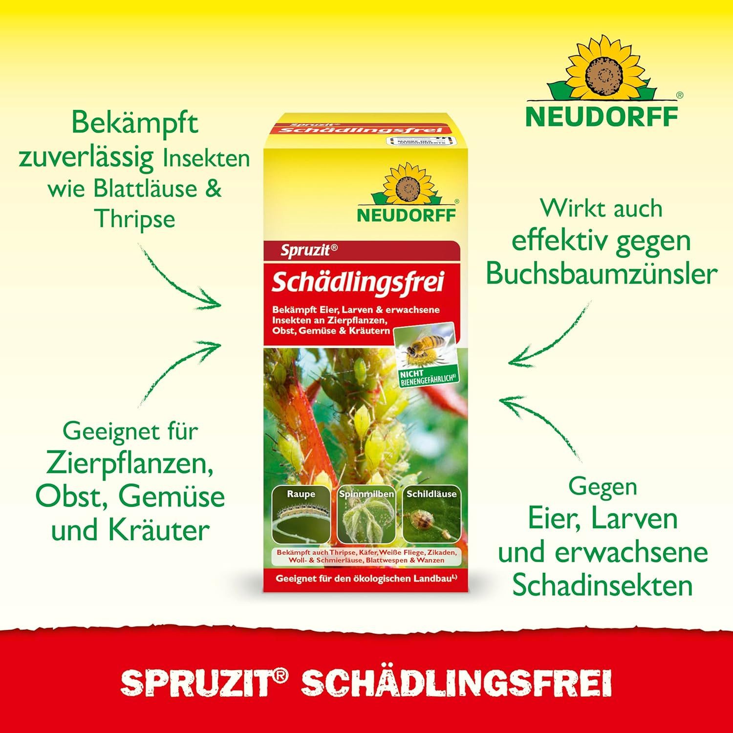Thumbnail - Neudorff Insektenspray Insektenspray Spruzit Schädlingsfrei 50 ml Konzentrat, 50 ml, biologische Bekämpfung von Schädlin...
