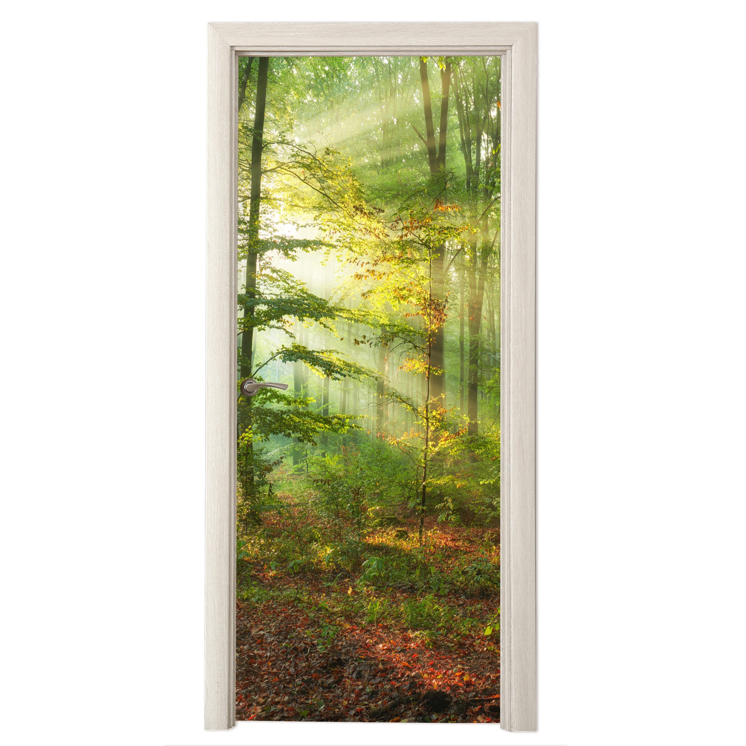 MuchoWow Türtapete Sonne - Wald - günstig online kaufen