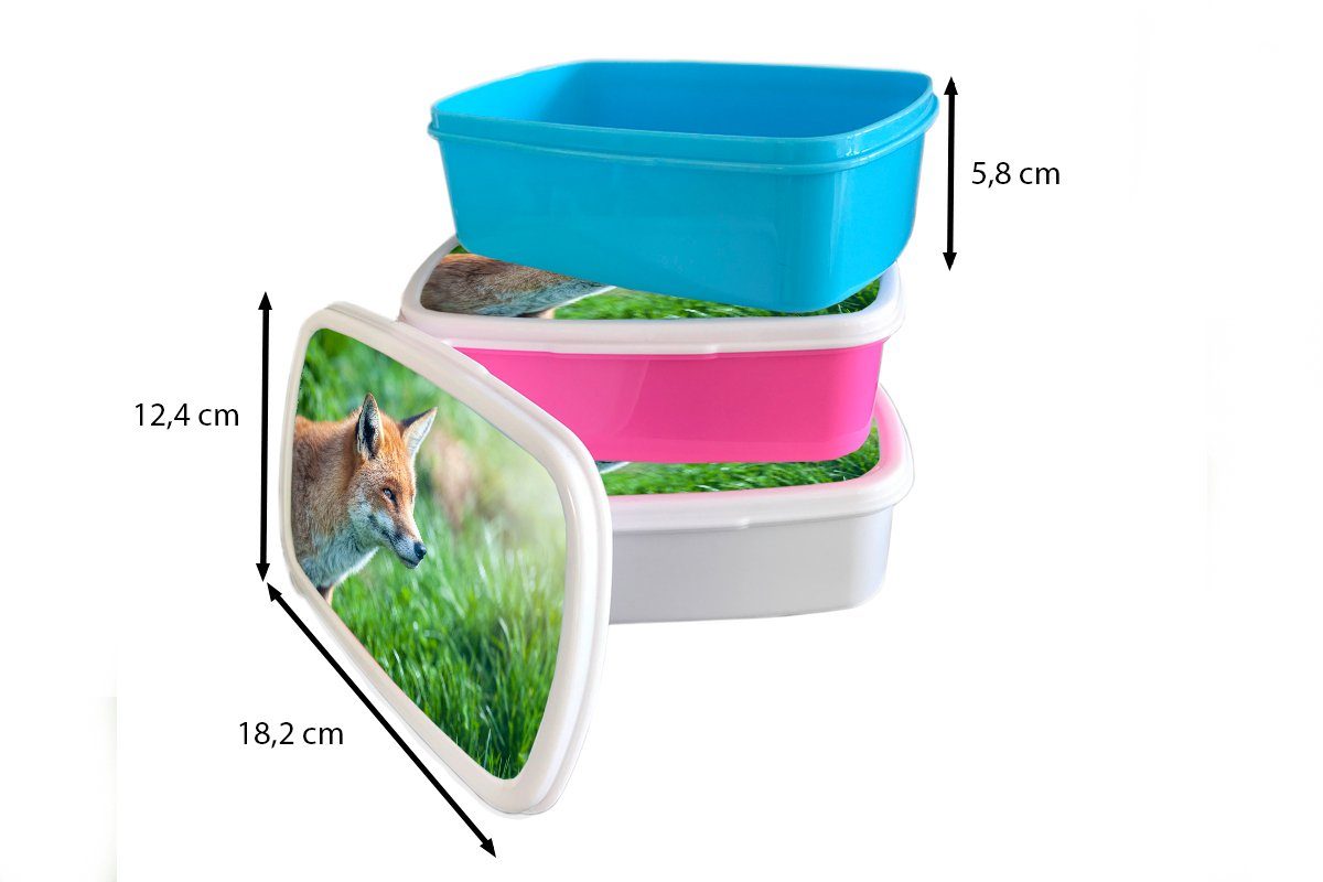 Gras für Erwachsene, Brotbox weiß Lunchbox Mädchen für und Jungs - Fuchs, (2-tlg), Brotdose, und - Kinder MuchoWow Kunststoff, Tiere