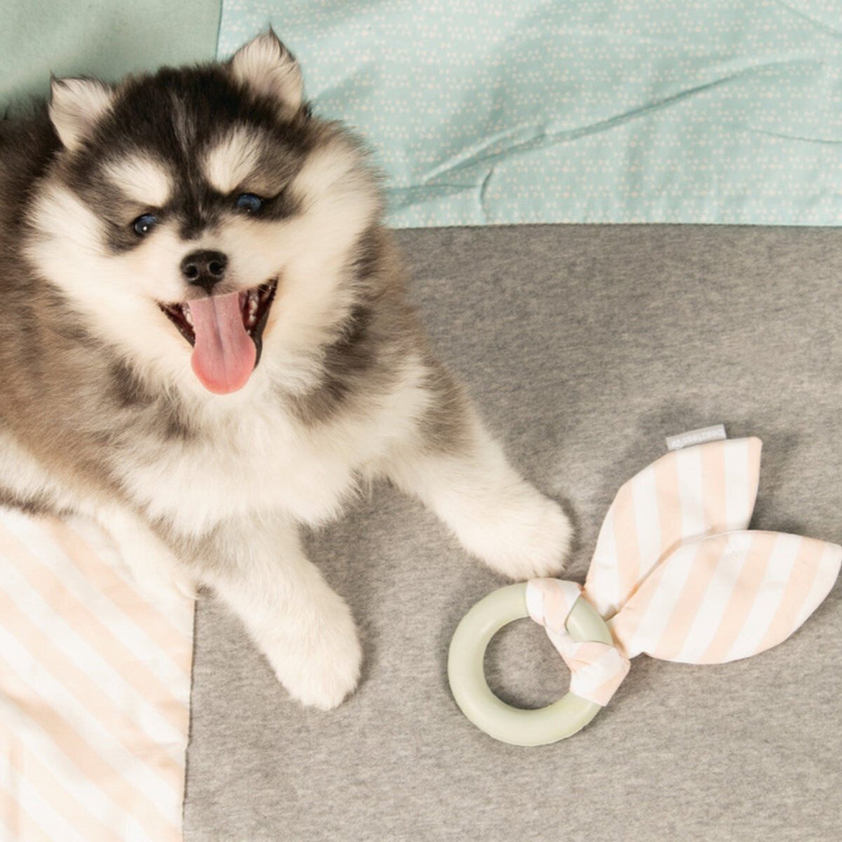 Thumbnail - Beeztees Spielknochen Puppy Welpen Spielzeug Gummispielzeug Kauring TJUWA