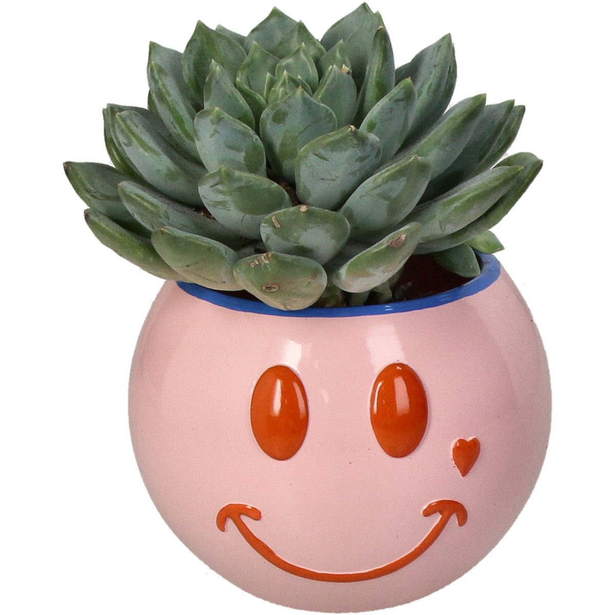 Kersten BV Blumentopf Smiley Blumentopf/ Behälter günstig online kaufen
