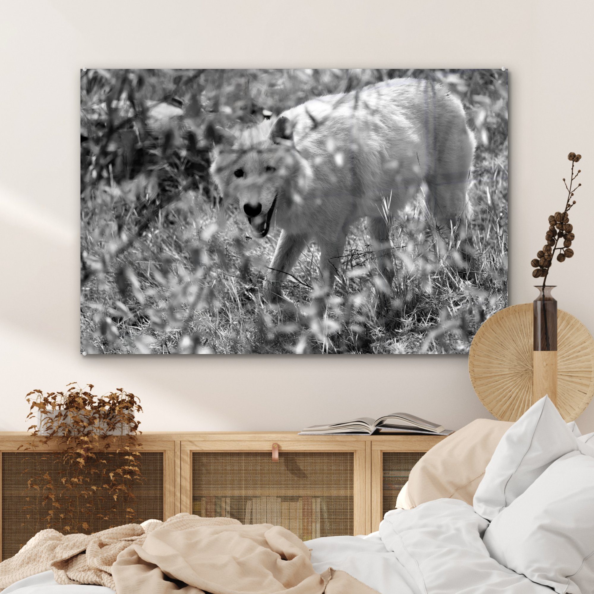 MuchoWow Acrylglasbild Weißer im Acrylglasbilder Weiß, & Schwarz St), Gras Wolf (1 in Wohnzimmer und Schlafzimmer