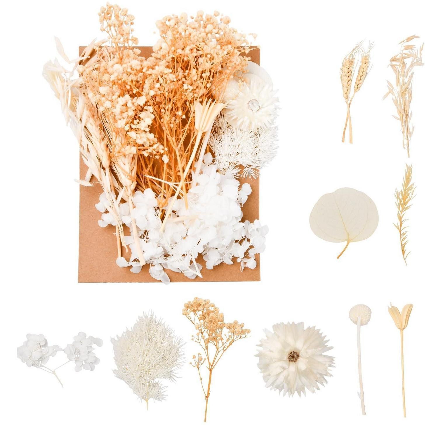 Trockenblume Trockenblumenstrauß Weiß Hochzeitsdeko DIY, LuxusKollektion, Höhe 1 cm