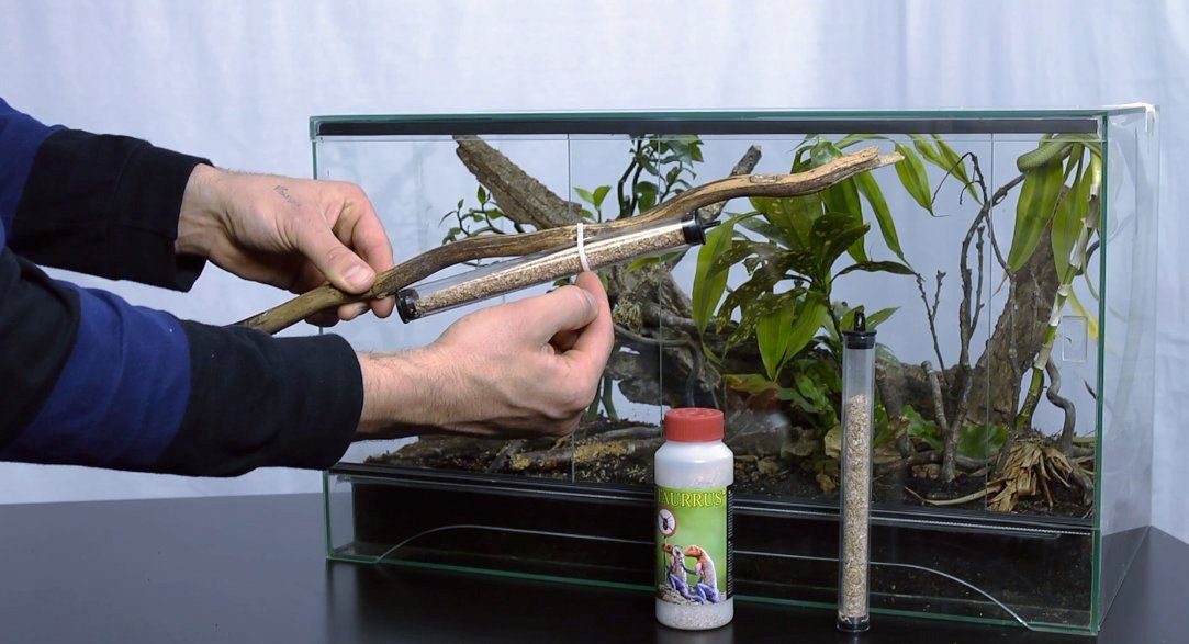 Terrarium TAURRUS, Raubmilben zur Milbenbekämpfung (L, für ca.10 Tiere)