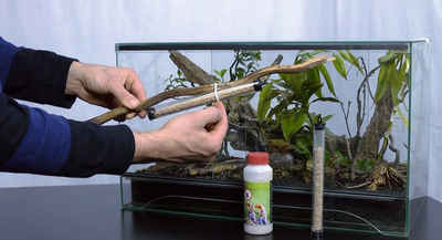 M&S Reptilien Terrarium TAURRUS, Raubmilben zur Milbenbekämpfung (XL, 850 g für ca. 50 Tiere