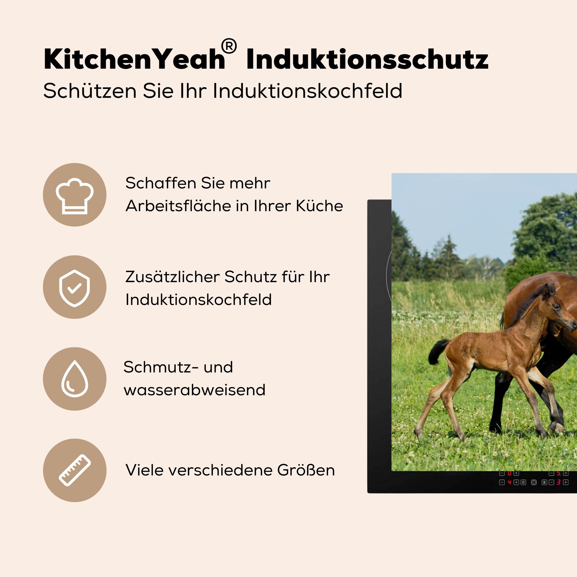 - - cm, Herdblende-/Abdeckplatte Pferde die (1 Vinyl, tlg), für MuchoWow Schutz küche, 81x52 Frühling, Ceranfeldabdeckung Induktionskochfeld Gras