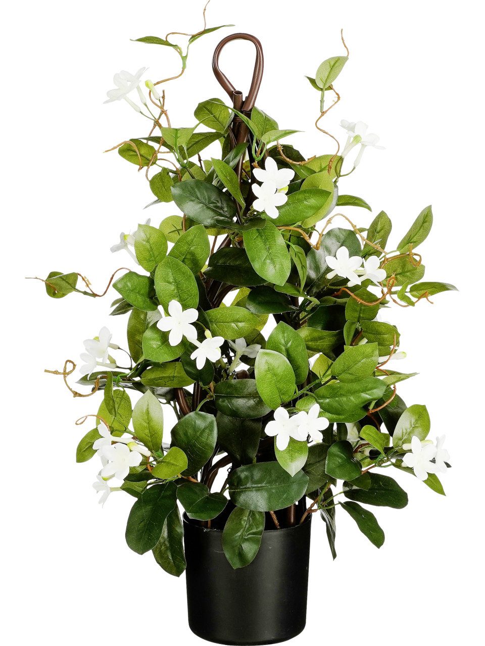 Kunstpflanze Mica Decorations Stephanotis im Topf günstig online kaufen
